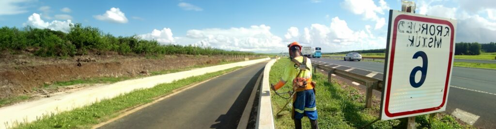 O que é conservação  e manutenção de áreas verdes em rodovias?