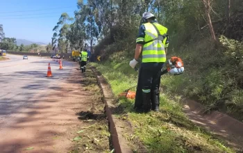 Serviço de Jardinagem